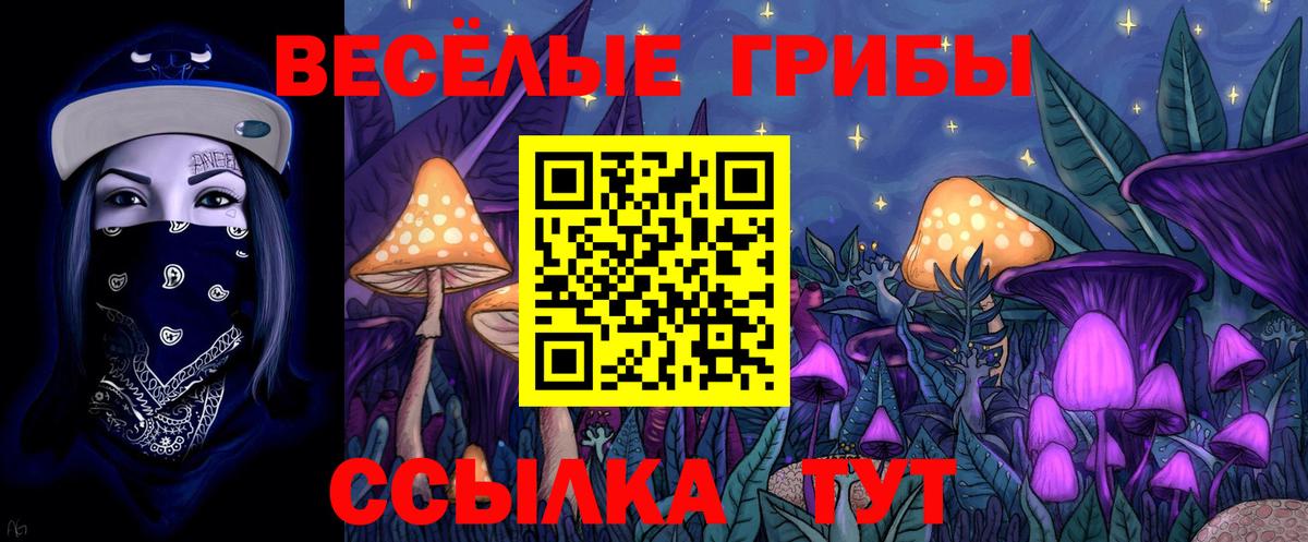 Ахтубинск  Галлюциногенные грибы Cubensis  Вход с VPN 