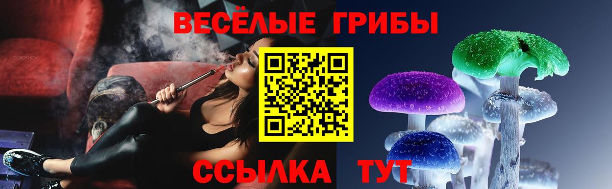 Псилоцибиновые грибы Cubensis Ахтубинск