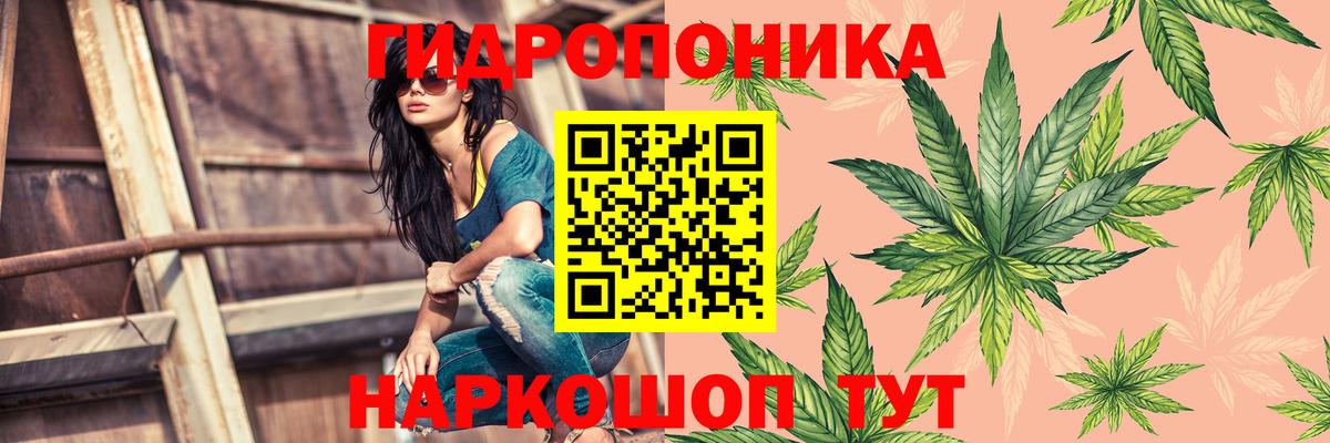 Шишки марихуана THC 21% Ахтубинск